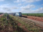 RUMO 9842